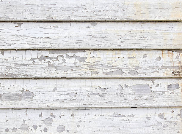 Trusted St Andrews, SC Junk Removal Experts